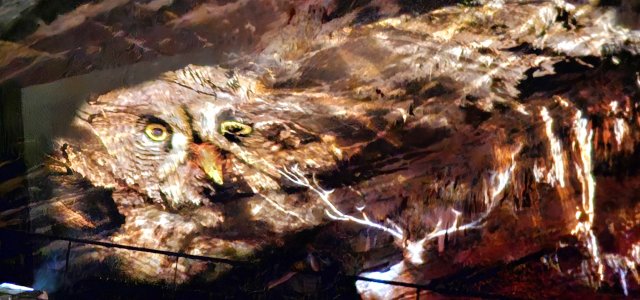 2023 grottes du Han