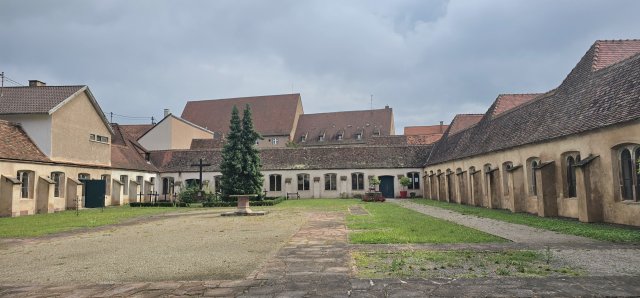 2024 vignoble