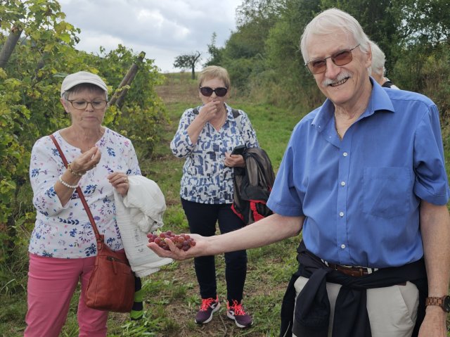 2024 vignoble